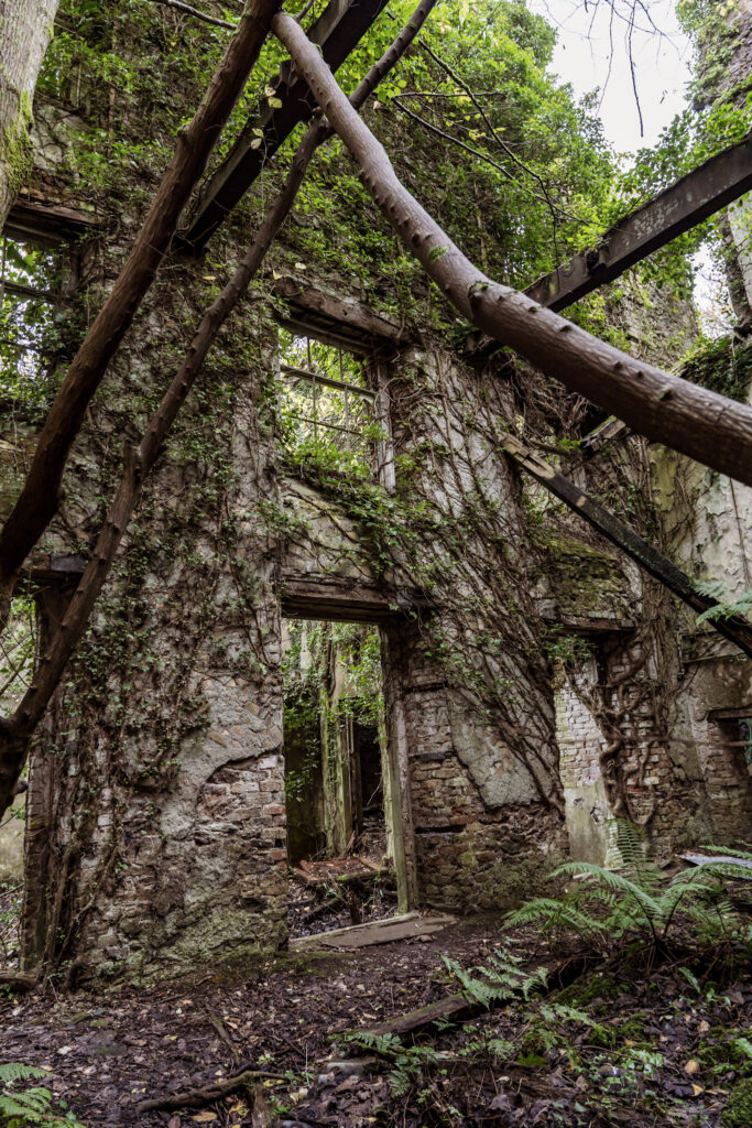 Inside the abandoned Baron Hill Mansion