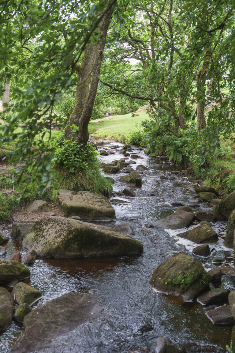 Padley Gorge Stream