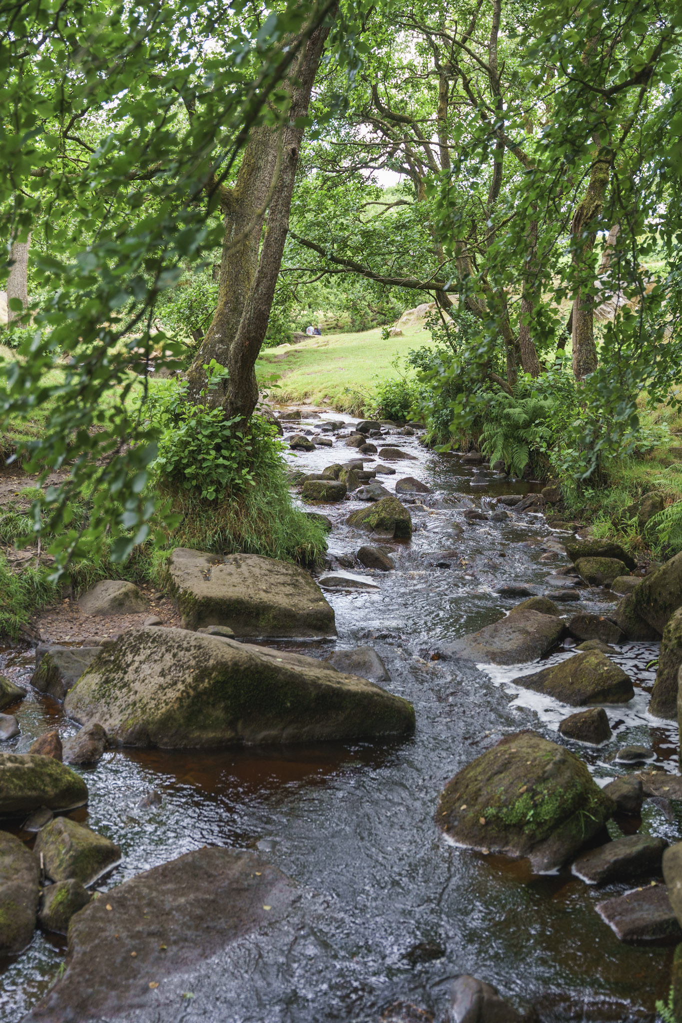 Padley Gorge Stream